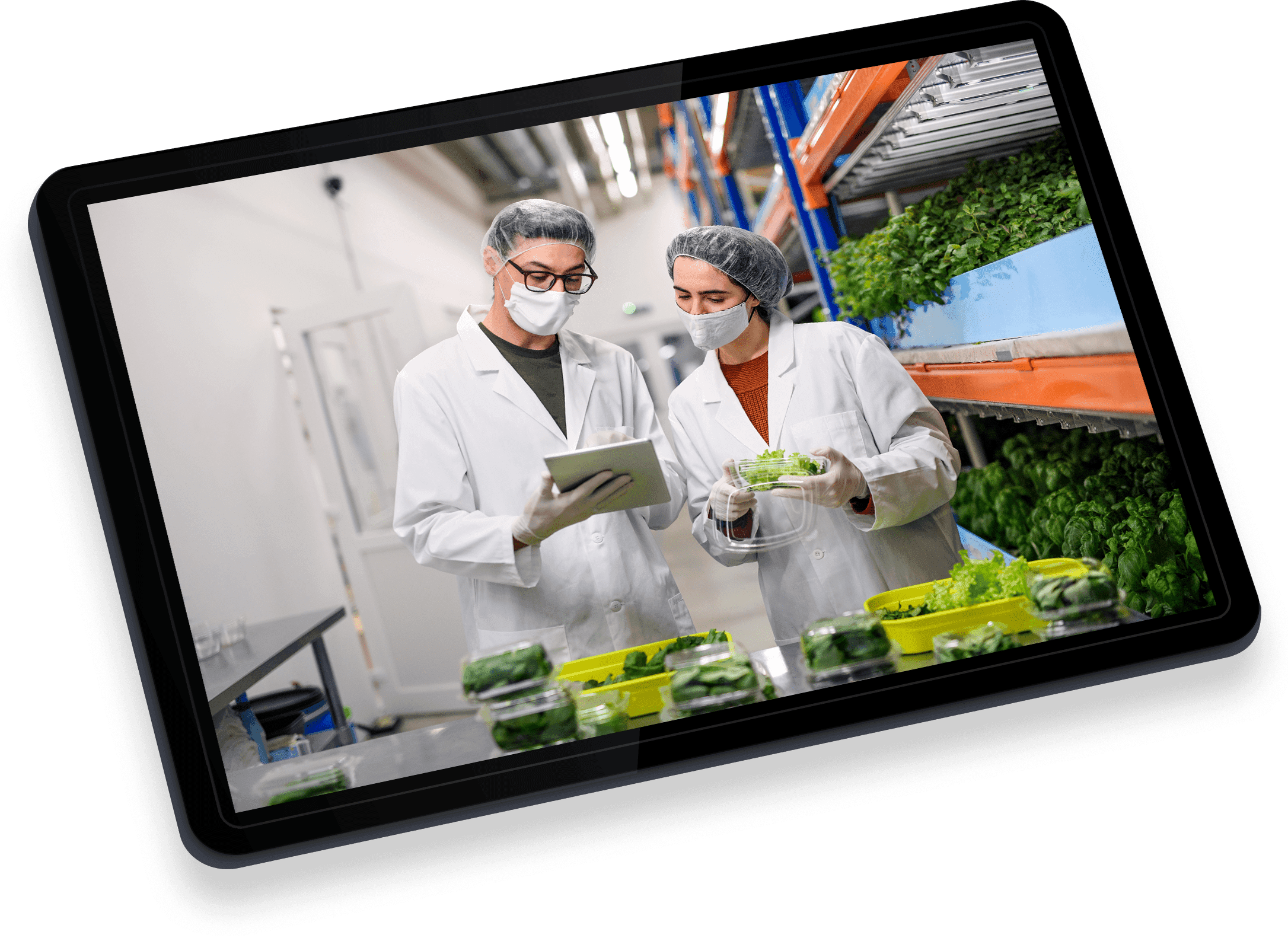 Jornada de Packaging y Procesos Automatizados