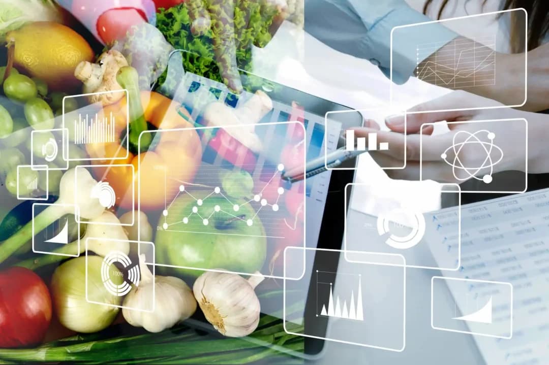 Contacto MB Food Safety