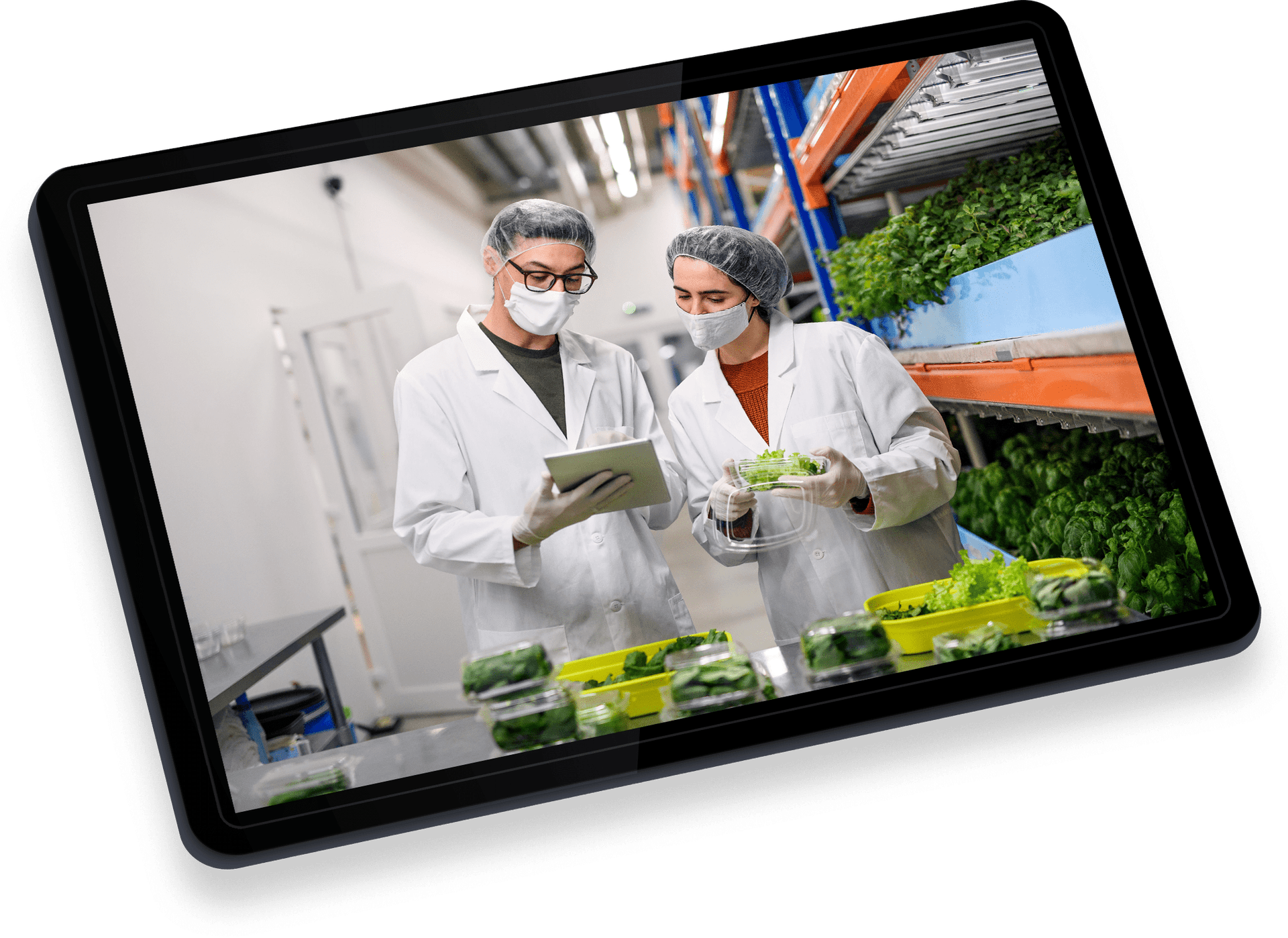Profesionales en gestión alimentaria